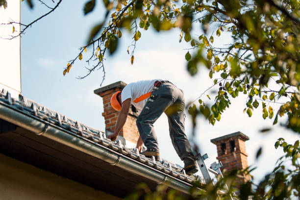 Best Flat Roofing  in Morris, MN