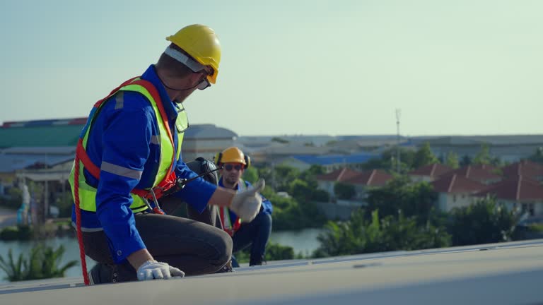 Best Asphalt Shingle Roofing  in Morris, MN
