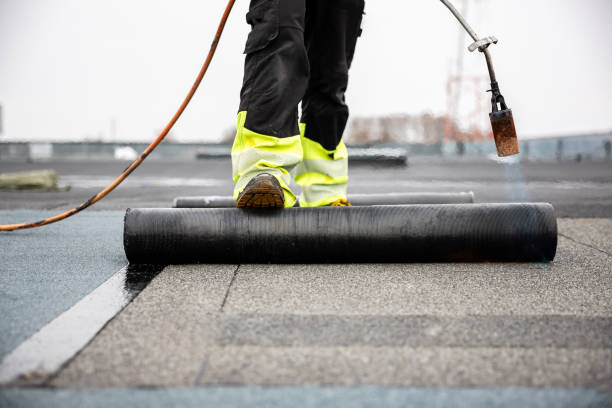 Best Rubber Roofing (EPDM, TPO)  in Morris, MN