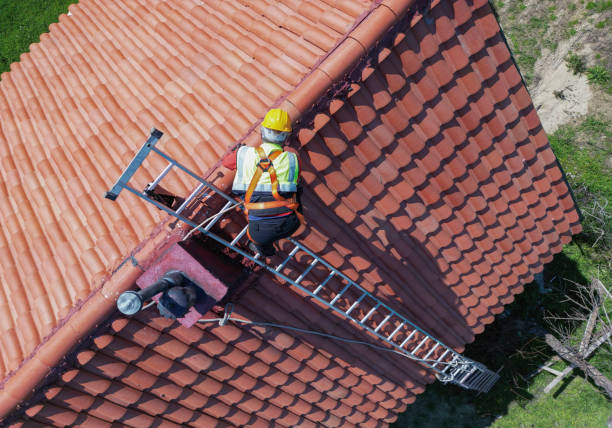 Best Skylight Installation and Repair  in Morris, MN