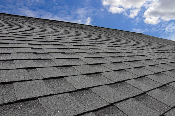 Best Storm Damage Roof Repair  in Morris, MN